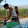 Desarollo olfattivo 2016